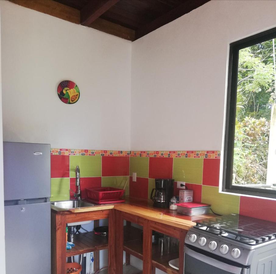 Ibiza Tropical Apartamento